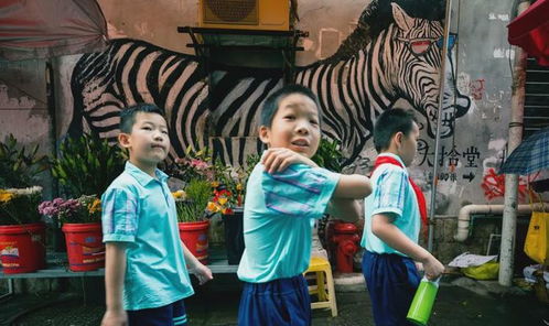 今天，全世界都在看泉州——探秘泉州涂鸦的艺术之旅