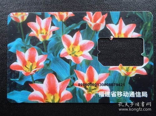 福建泉州剌桐阁聚宝斋收藏书店 孔夫子旧书网上的文化瑰宝