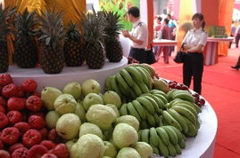 泉州涂鸦 城市艺术的新浪潮