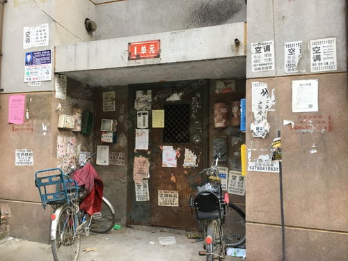 泉州河纺街省油脂公司宿舍 涂鸦艺术与样板间装修效果图融合指南