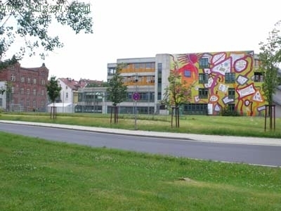 一个泉州人的卡塞尔艺术之旅